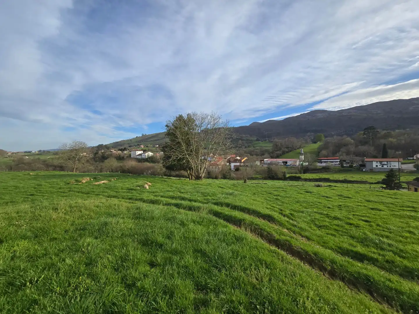 Grundstücke und Bauplätze zum Verkauf in noriega, imagen 9