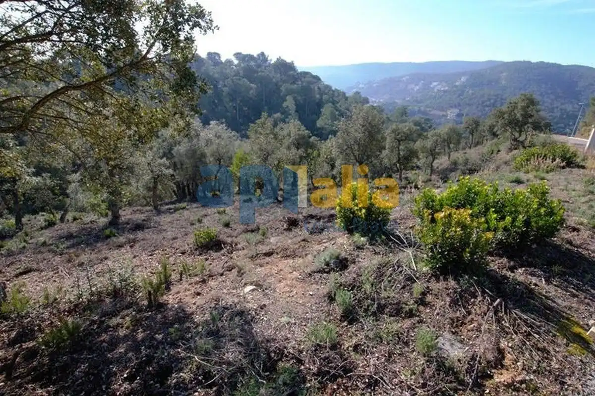 Residential land for sale in Carrer Avet, imagen 4