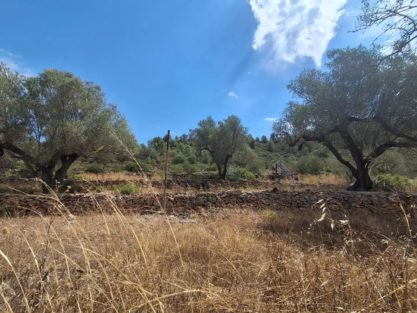 Finca rústica en venda en Tivissa amb Piscina comunitària