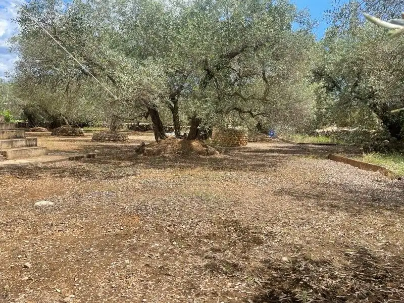 Terreno rustico in vendita a Plaça del Regne d'Espanya 8, imagen 8