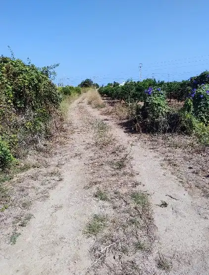 Terreno rustico in vendita a Este, imagen 2