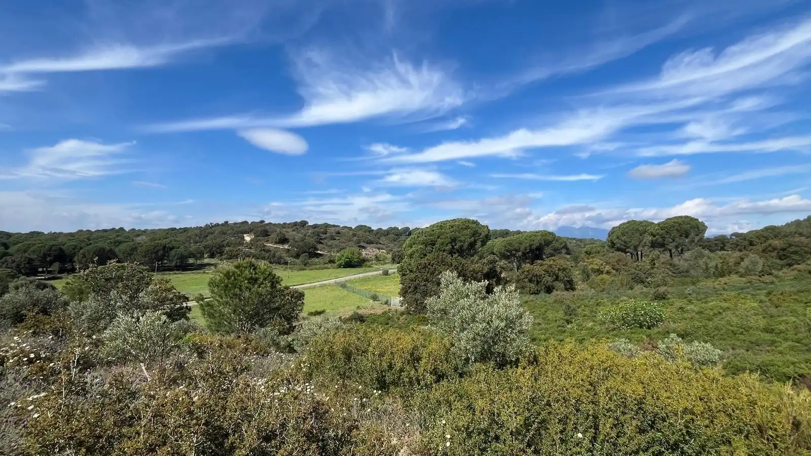 Terreny rústic en venda a Sant Climent Sescebes, imagen 19