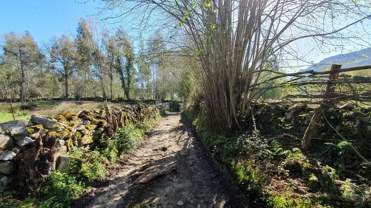Vista exterior de Finca rústica en venta en Llanes