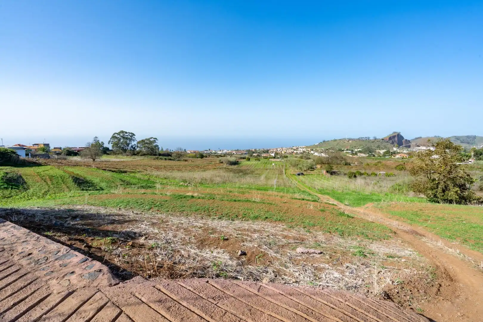 Land for sale in Tacoronte