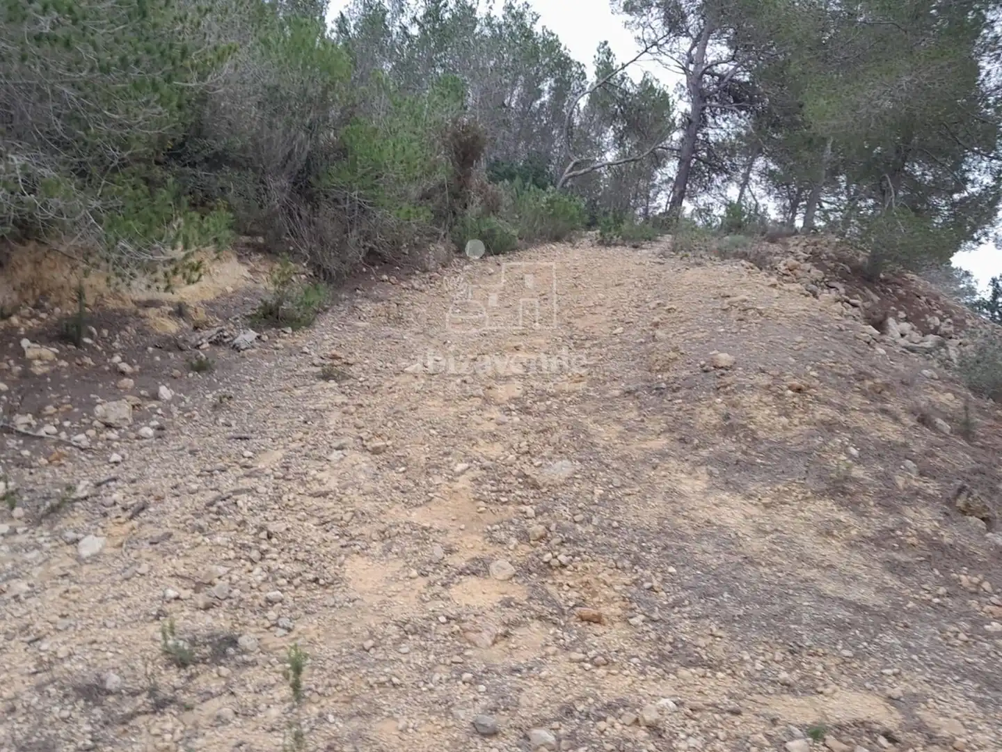 Casa o xalet en venda en Santa Eulària des Riu amb Jardí privat