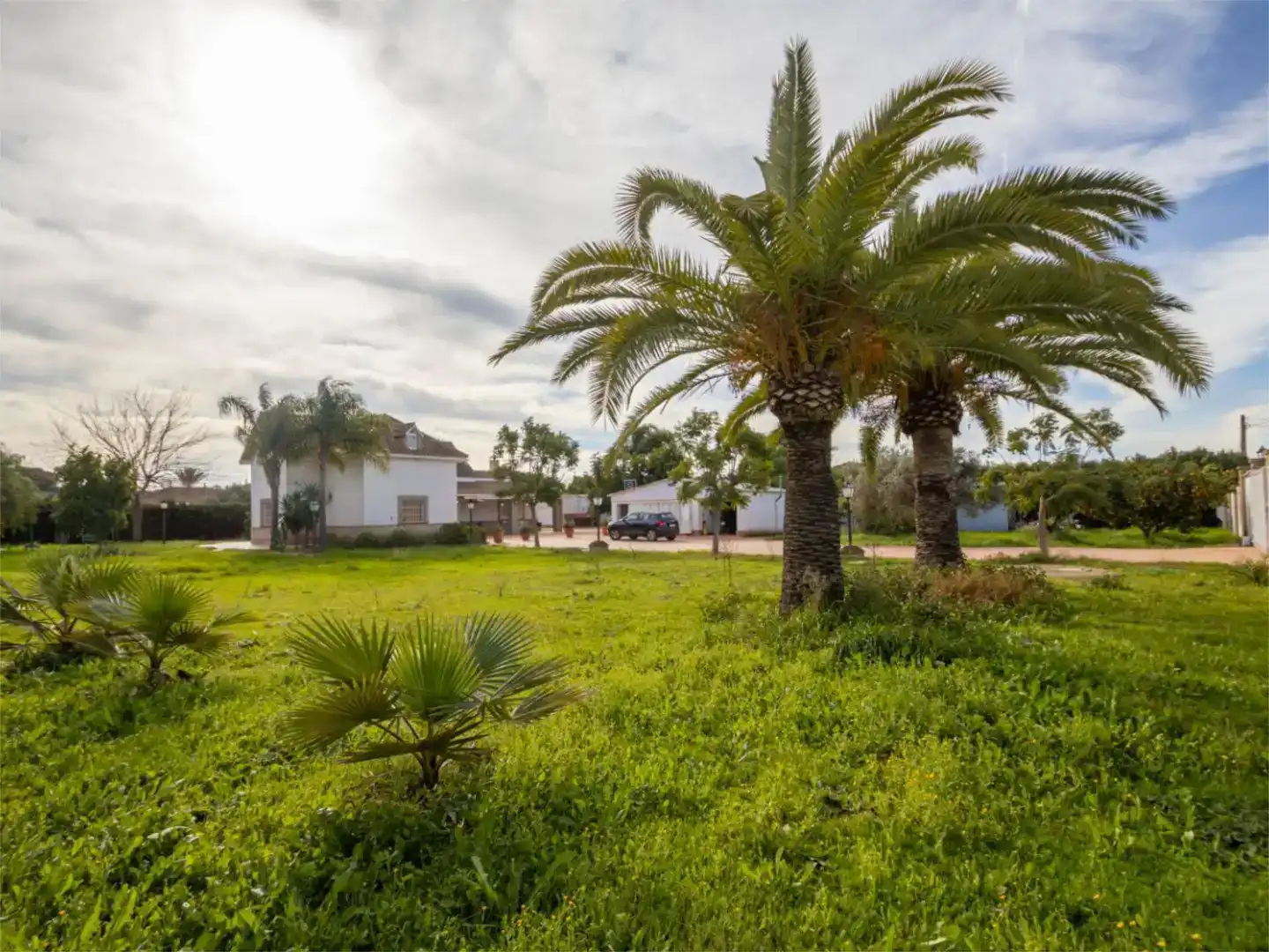 Vista exterior de Casa o chalet en venta en Carmona, Sevilla