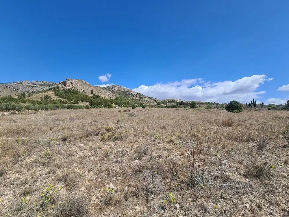 Residential land for sale in Las Tiesas, imagen 5