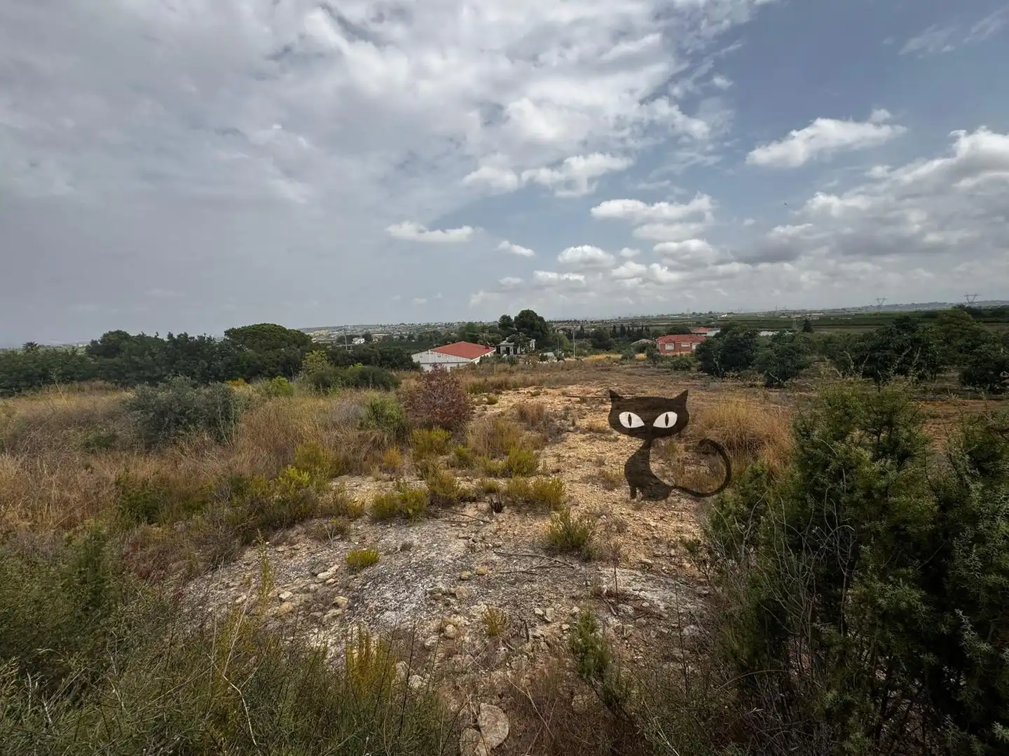 Rural land for sale in Calicanto - Cumbres de Calicanto - Santo Domingo, imagen 15
