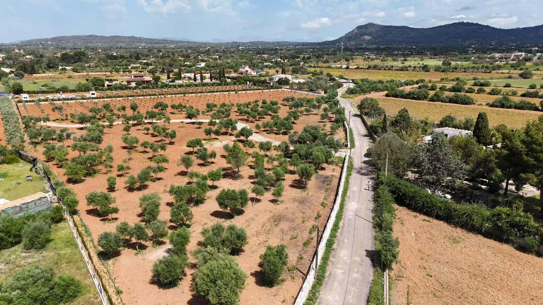 Terreno rustico in vendita a Ronda de Migjorn 64
