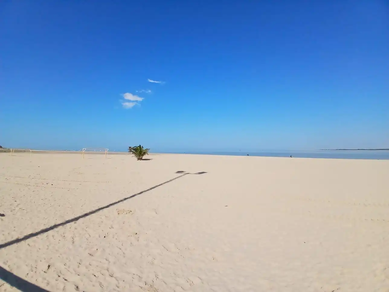 Detached homes for sale in V Centenario - Piletas - Capuchinos