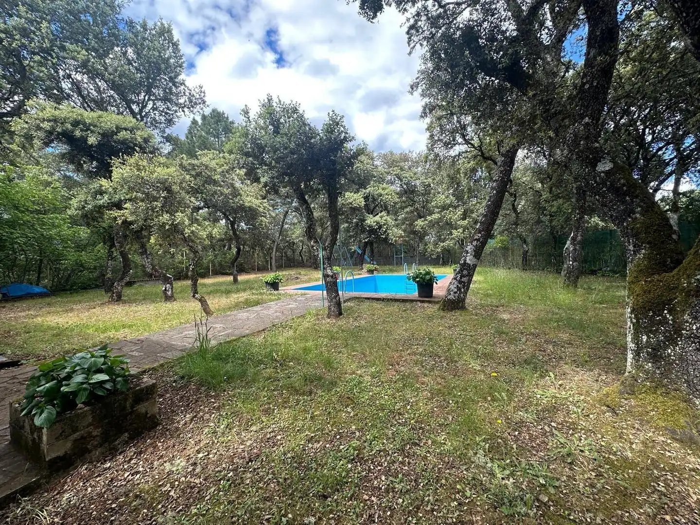 Garden of Country homes for sale in Sancedo  with Private garden, Swimming Pool and Furnished