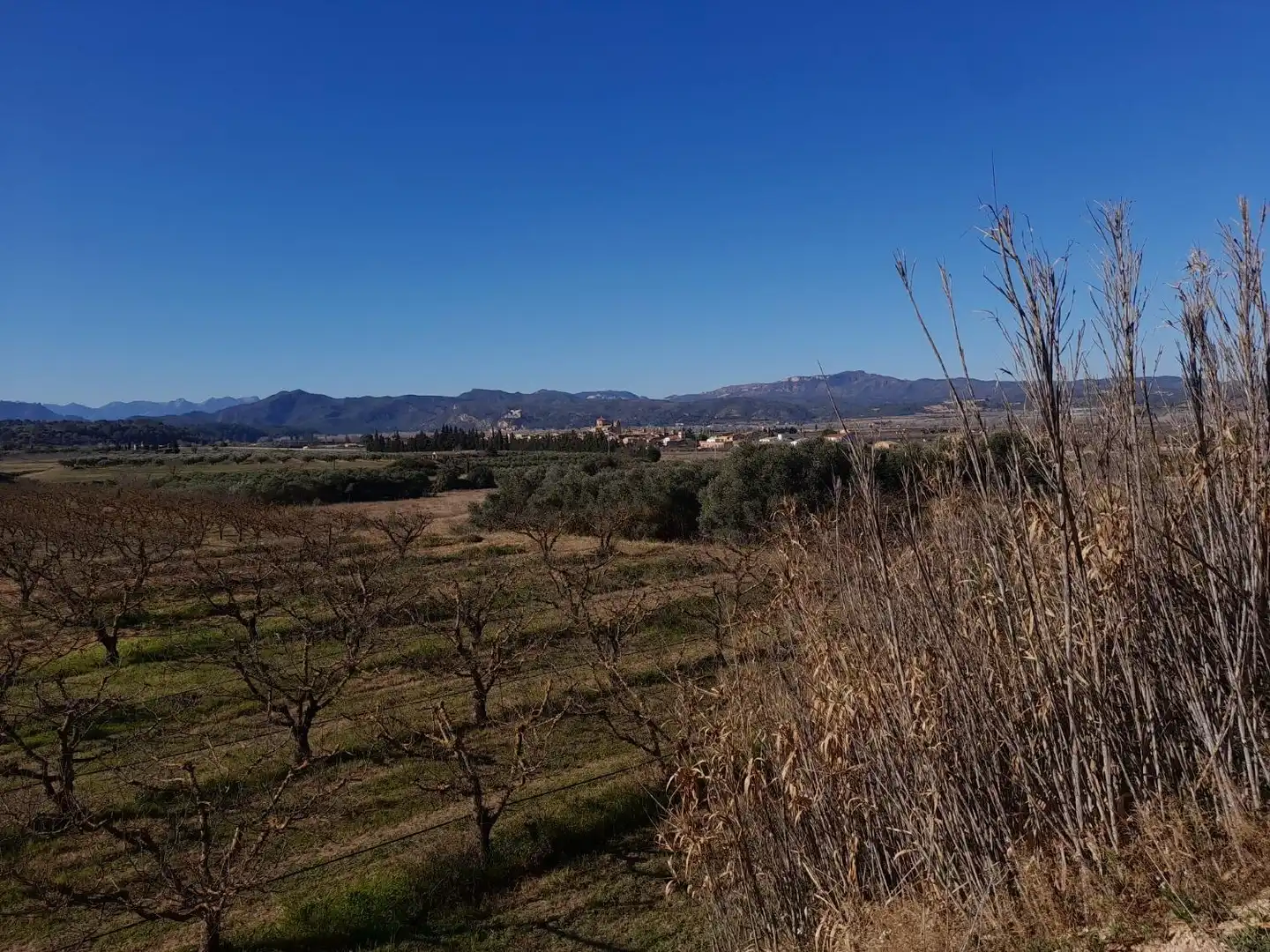Rural land for sale in Ginestar, imagen 9