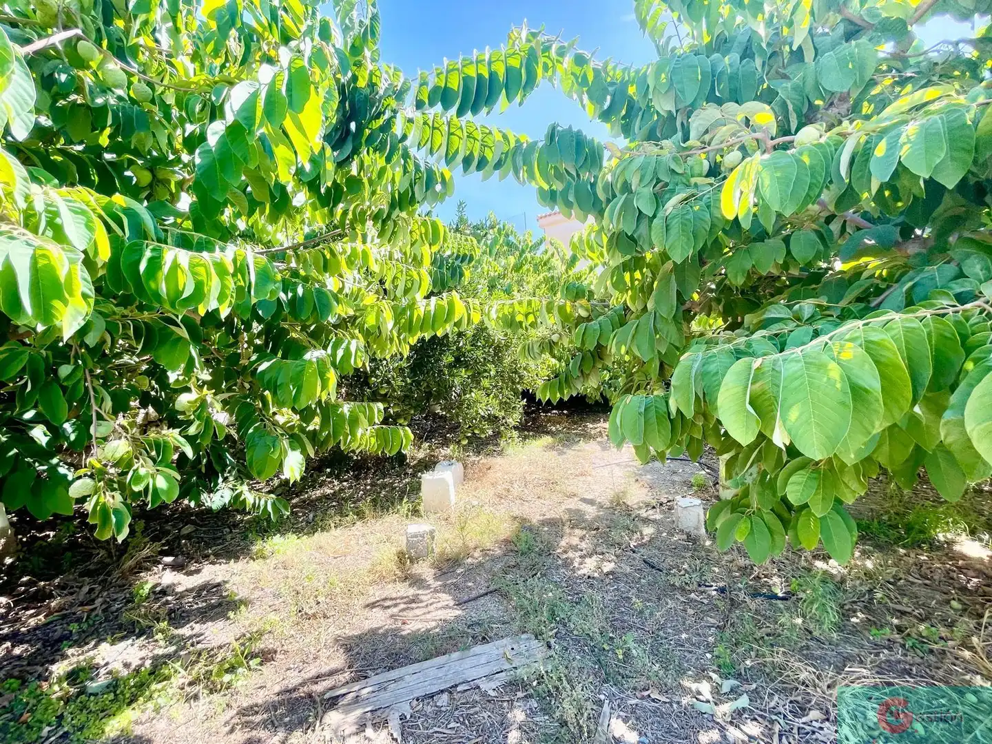 Country house with pool for sale in Molvízar, imagen 33