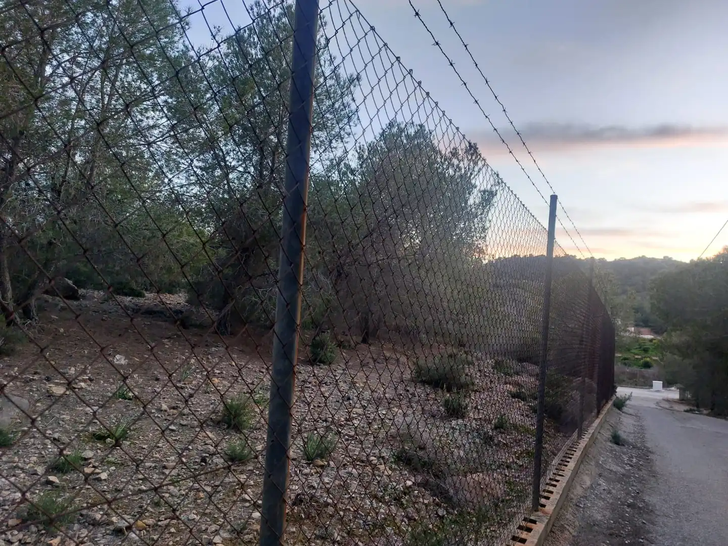 Terreny rústic en venda a Camino de los Fructuosos, imagen 3