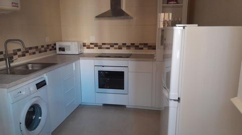 Photo 4 of Flat to rent in Madre de Dios, Jerez de la Frontera