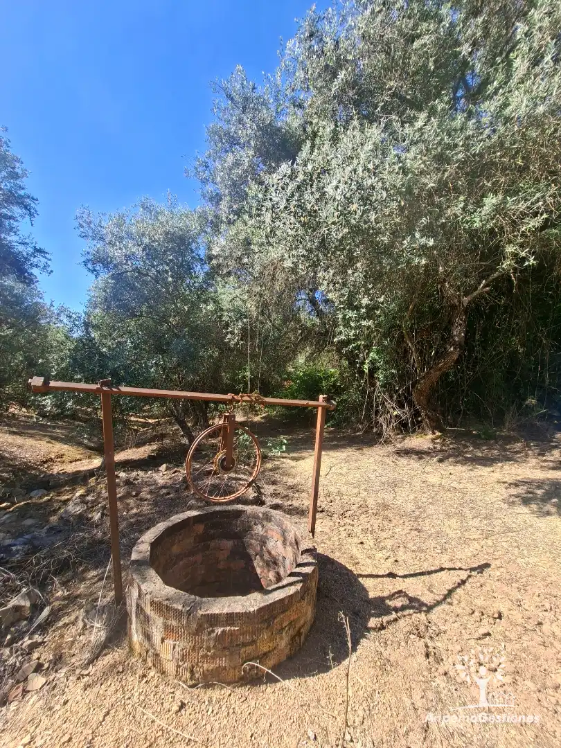 Land for sale in Las Navas de la Concepción