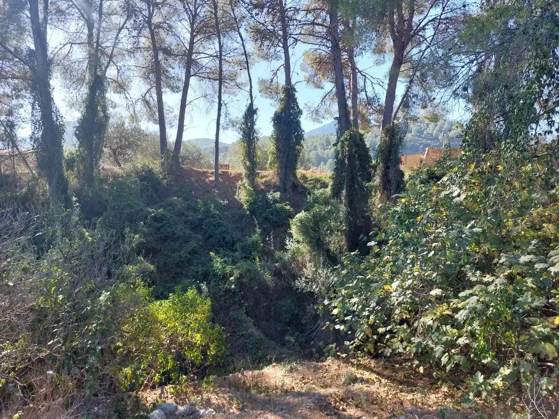 Terreny rústic en venda a Tormos, imagen 23