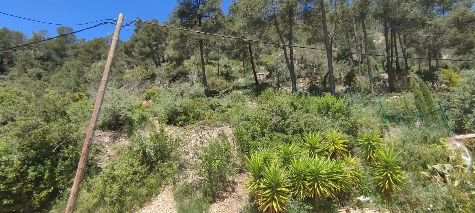 Lands and plots for sale in Vallirana, imagen 4