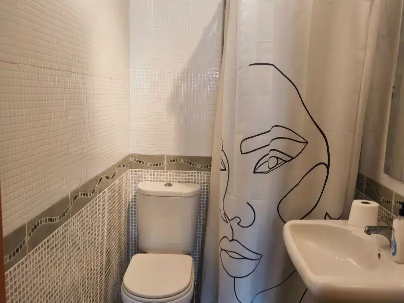 Bathroom of Commercial properties for sale in Algemesí  with Furnished