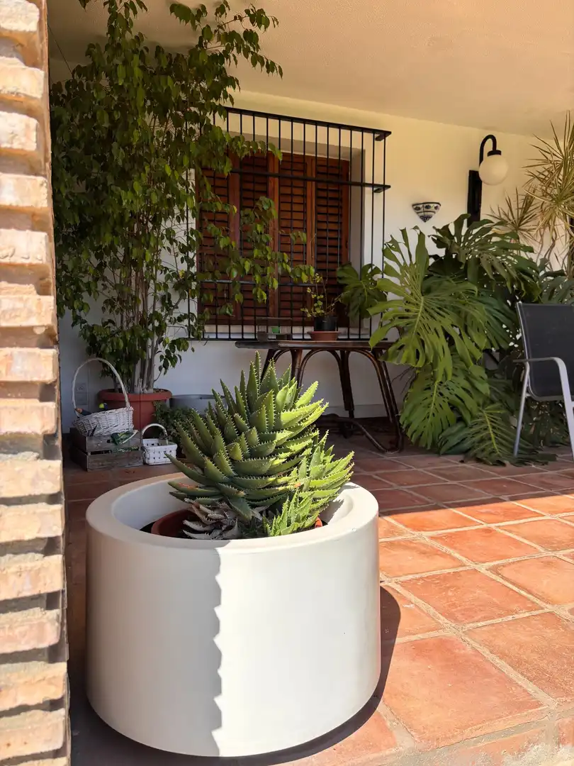 Terrassa de Casa o xalet en venda en Ontinyent amb Calefacció, Jardí privat i Traster