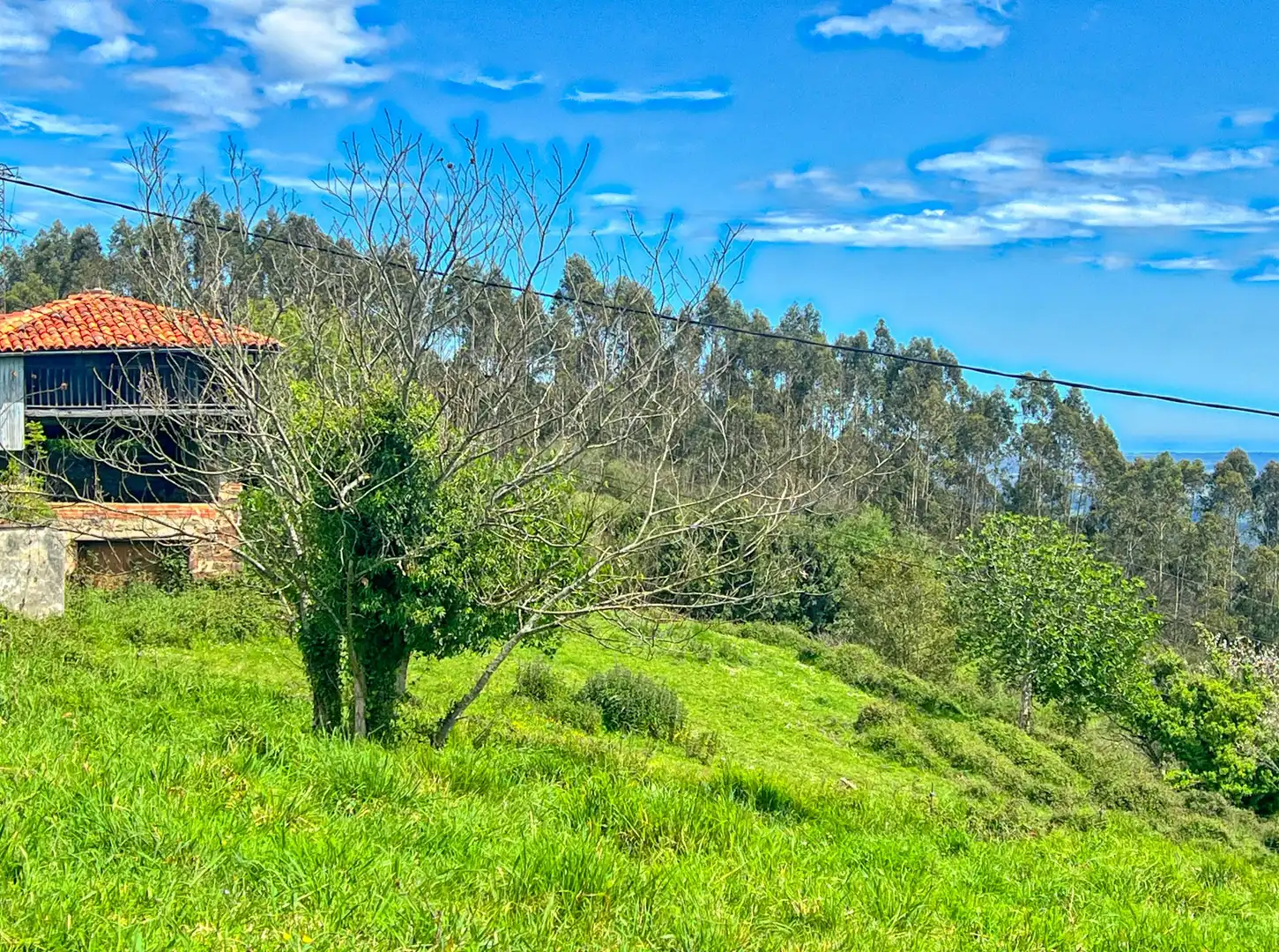 Lands and plots for sale in Pillarno, imagen 25