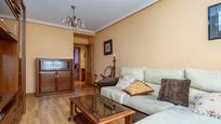 Living room of Flat for sale in Mieres (Asturias)  with Terrace