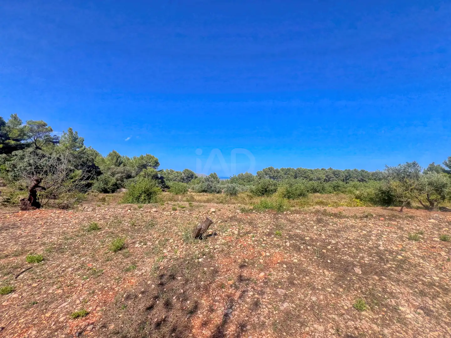 Residencial en venta en Murla