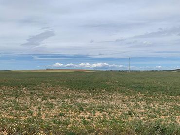 Terreny residencial en venda a Vegas De San Benito