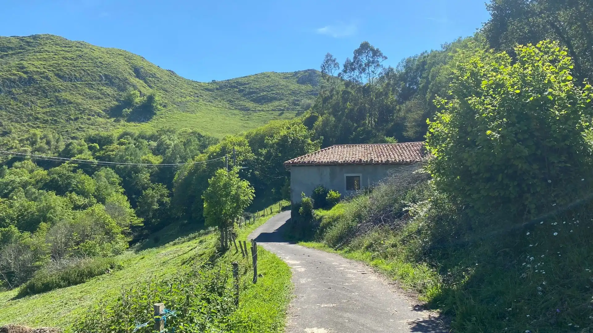 Casa en venta en Cuerres de Llenín, imagen 9