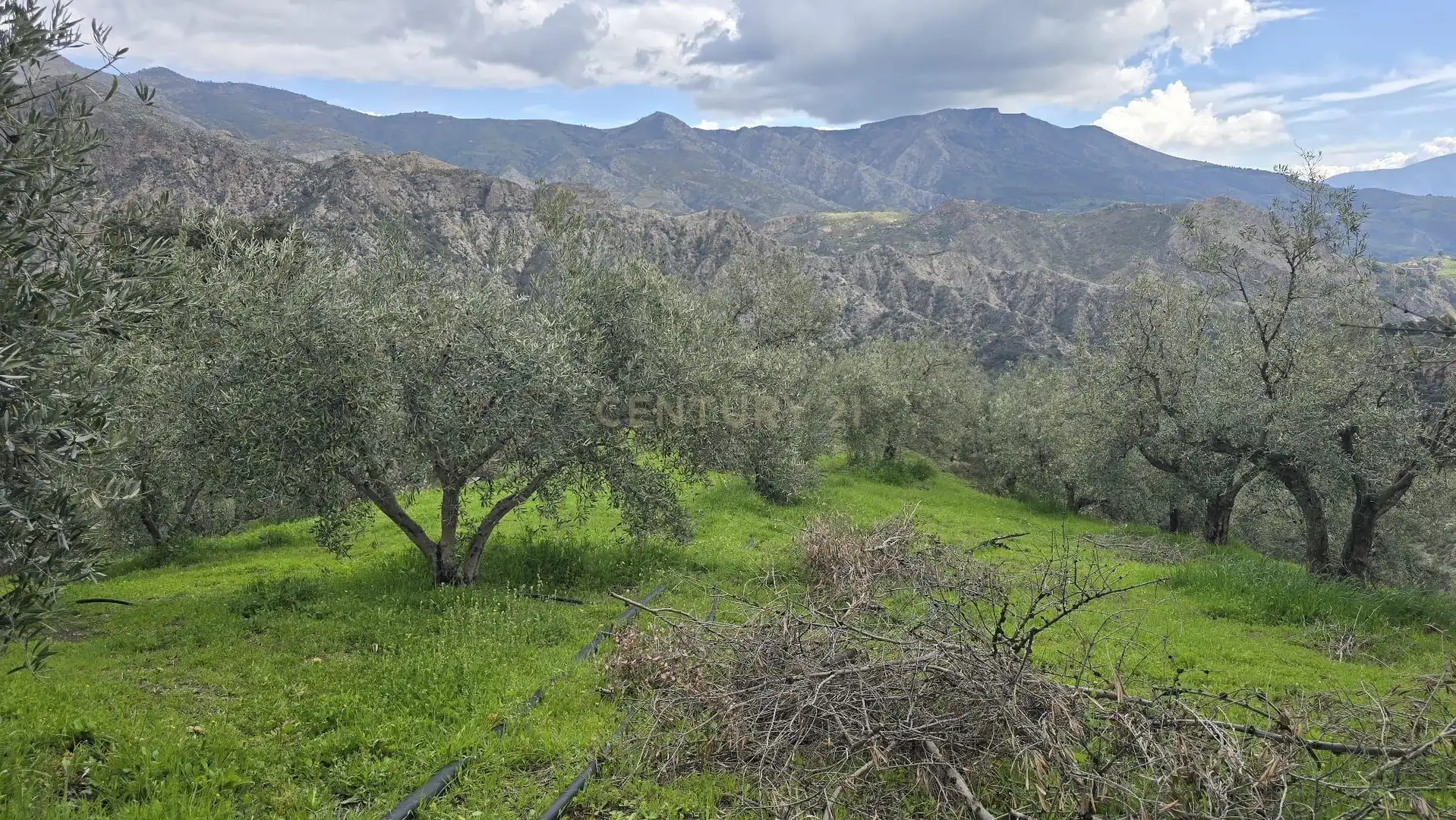 Terreno rustico in vendita a Polígono 11 Parcela 96 EL CERRILLAR. LOS GUAJARES (GRANADA), imagen 9