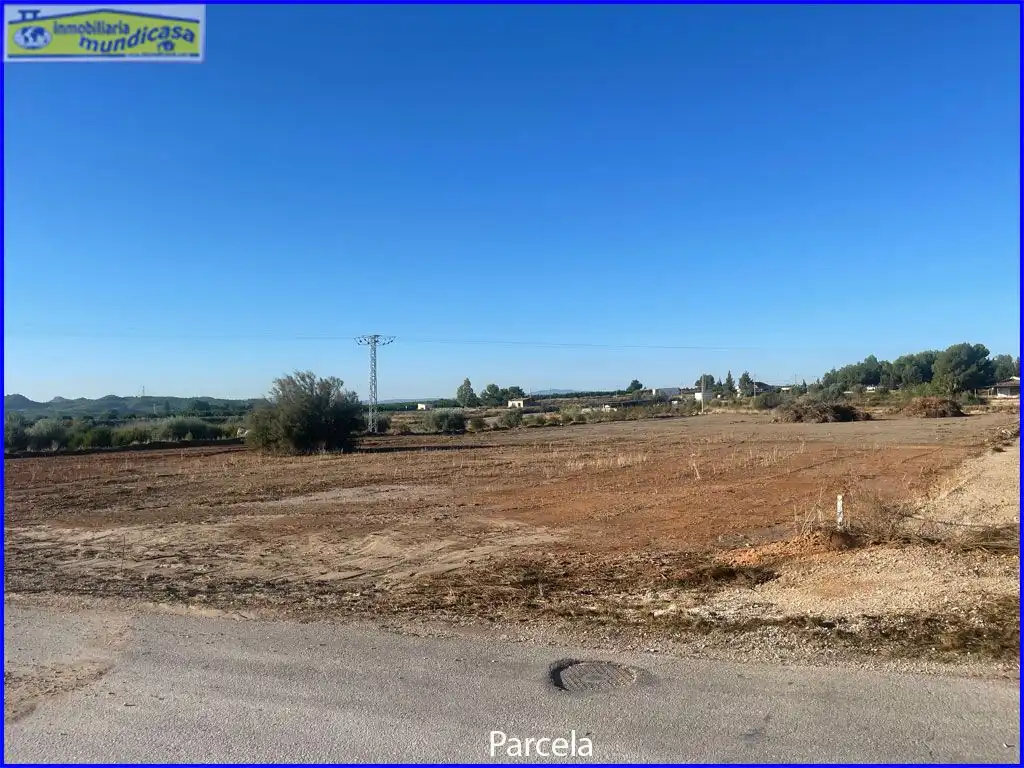 Terreno rústico en venta en Partida la Matanza, imagen 3
