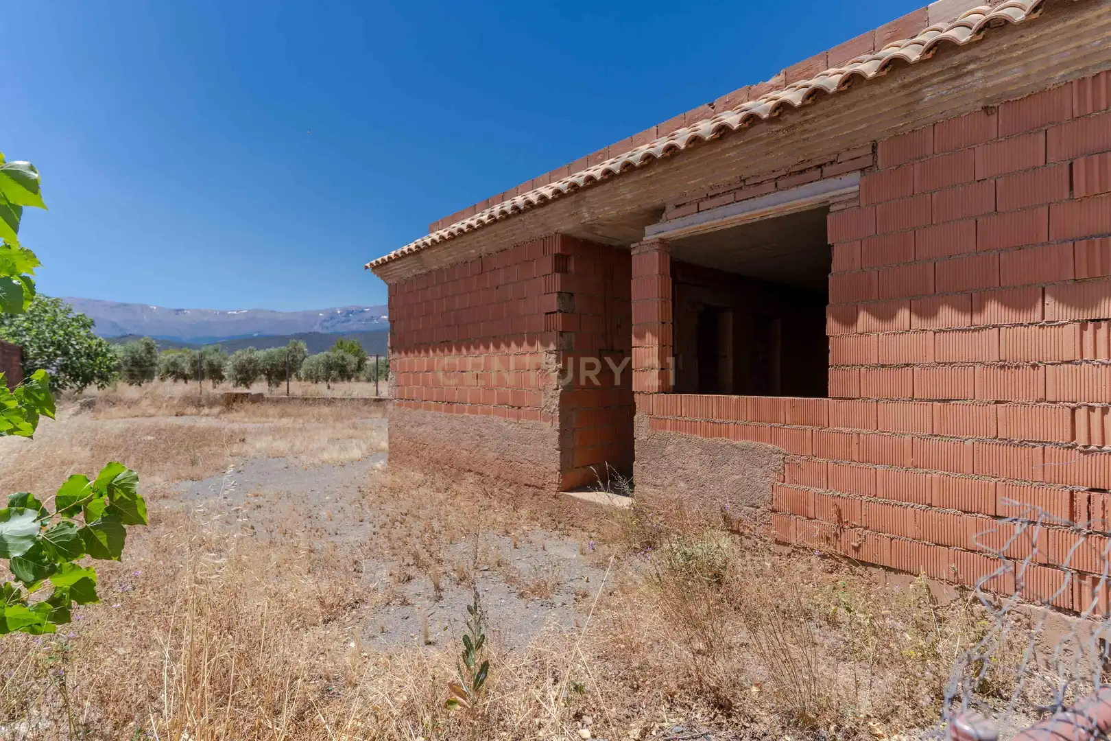 Terreno en venta en Cogollos de Guadix