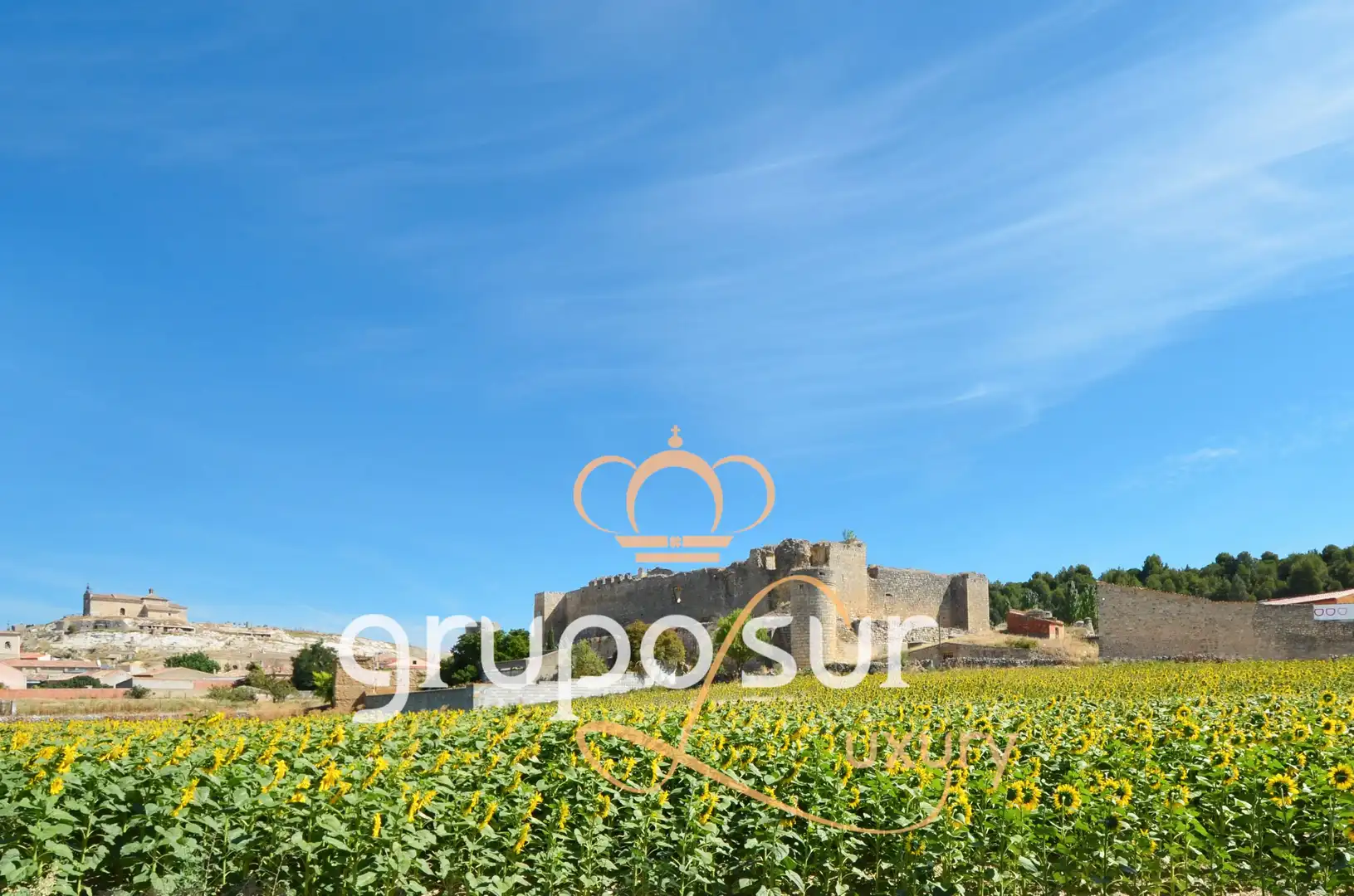 Jardín de Casa o chalet en venta en Trigueros del Valle con Calefacción, Jardín privado y Terraza