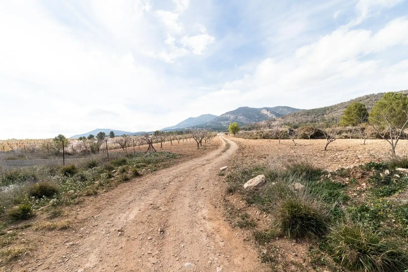 Casa en venda a Mula, imagen 2