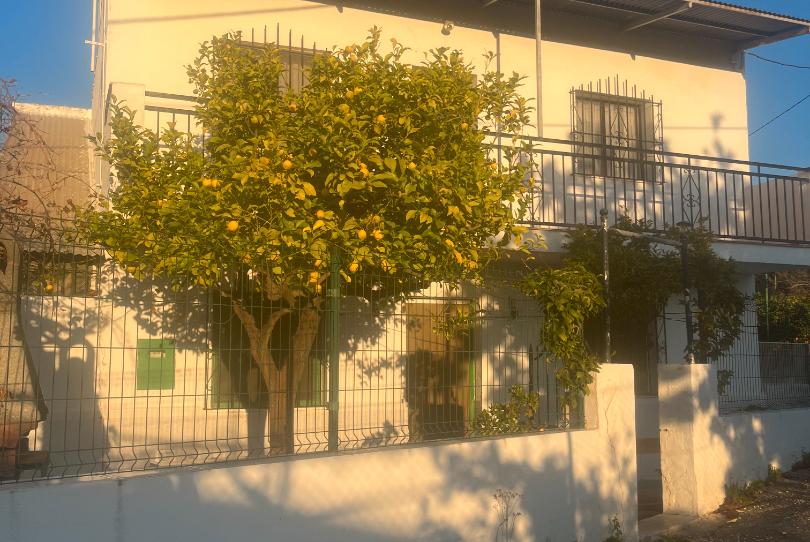 Foto 1 de Finca rústica en venda a Camino de Cotilla, 37, Campanillas, Málaga