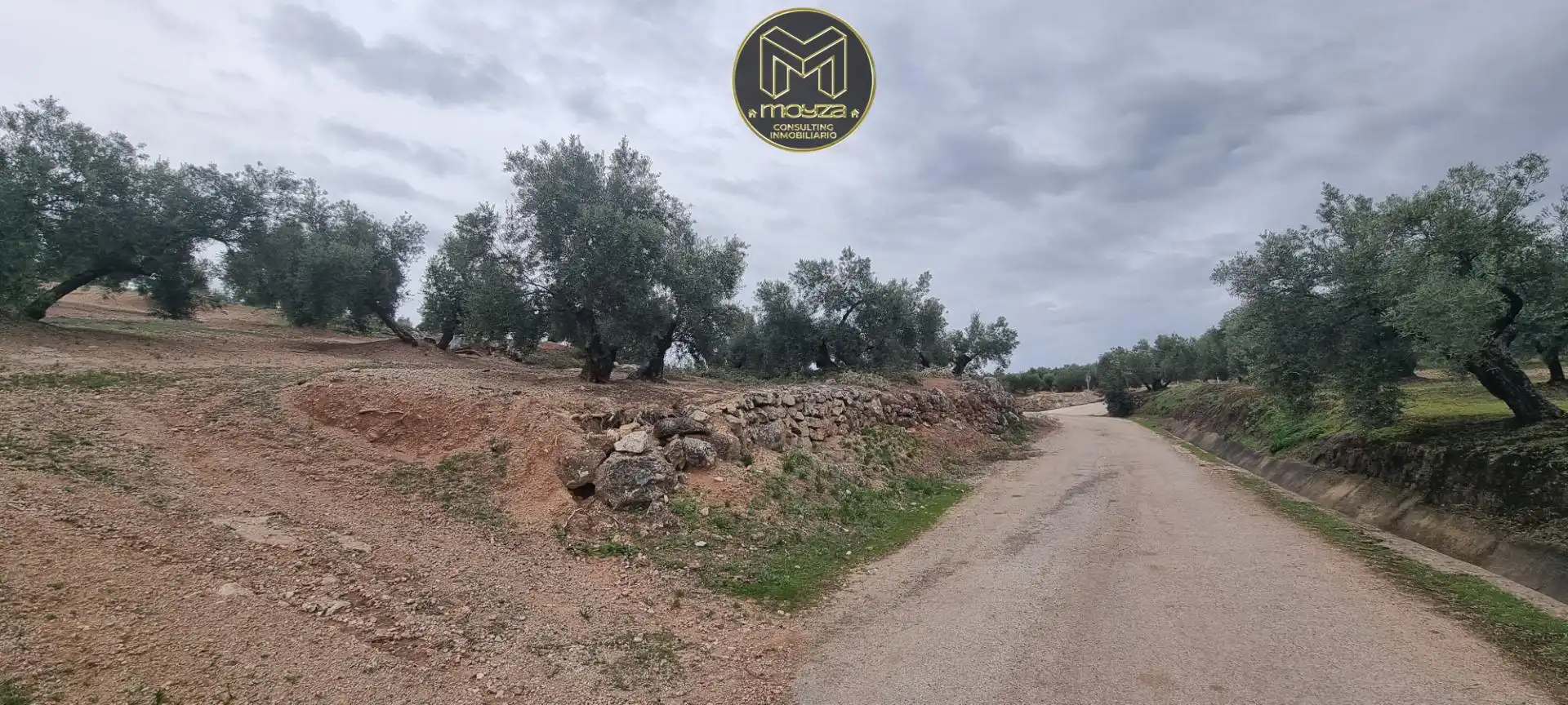 Lands and plots for sale in Torredonjimeno, imagen 7