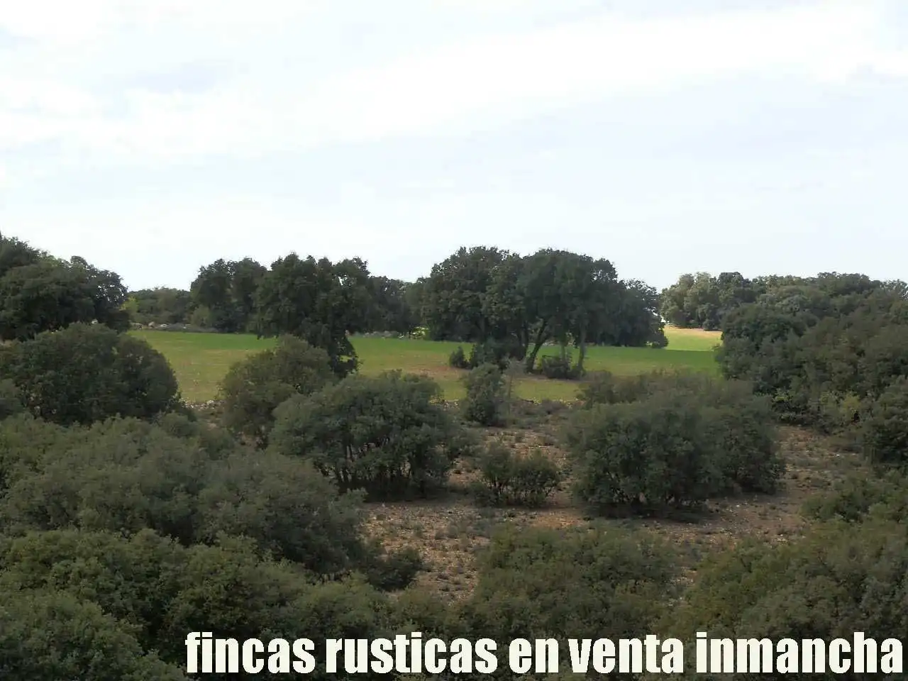 Terreni e lotti in vendita a Balazote, imagen 19