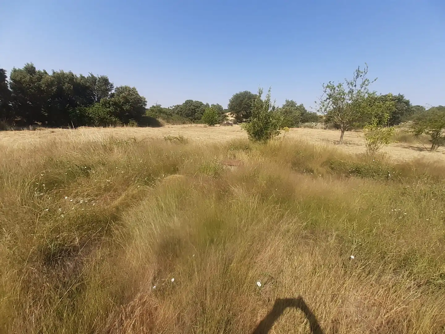 Land for sale in Almeida de Sayago