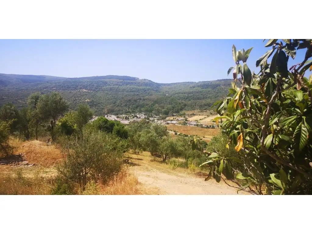 Casa rústica en venda a Gaucín, imagen 5