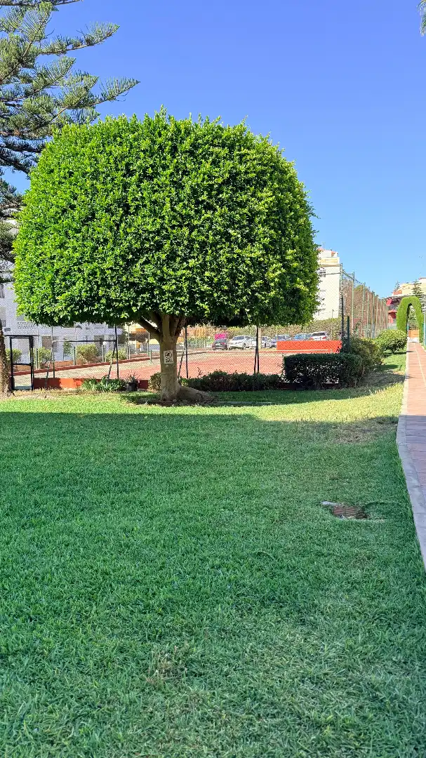 Piso en venta en Torremolinos con Aire acondicionado, Terraza y Trastero