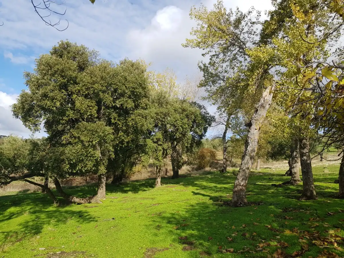 Country house zum Verkauf in Villanueva del Rey mit Privatgarten und Abstellraum