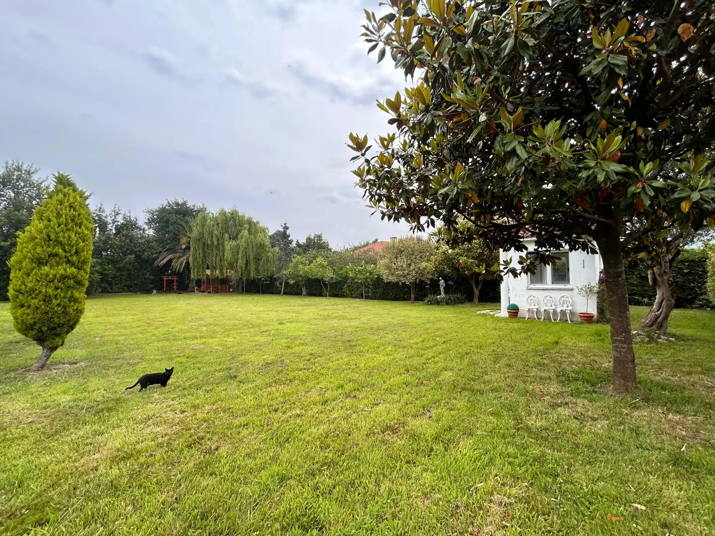 Land for sale in Gijón 