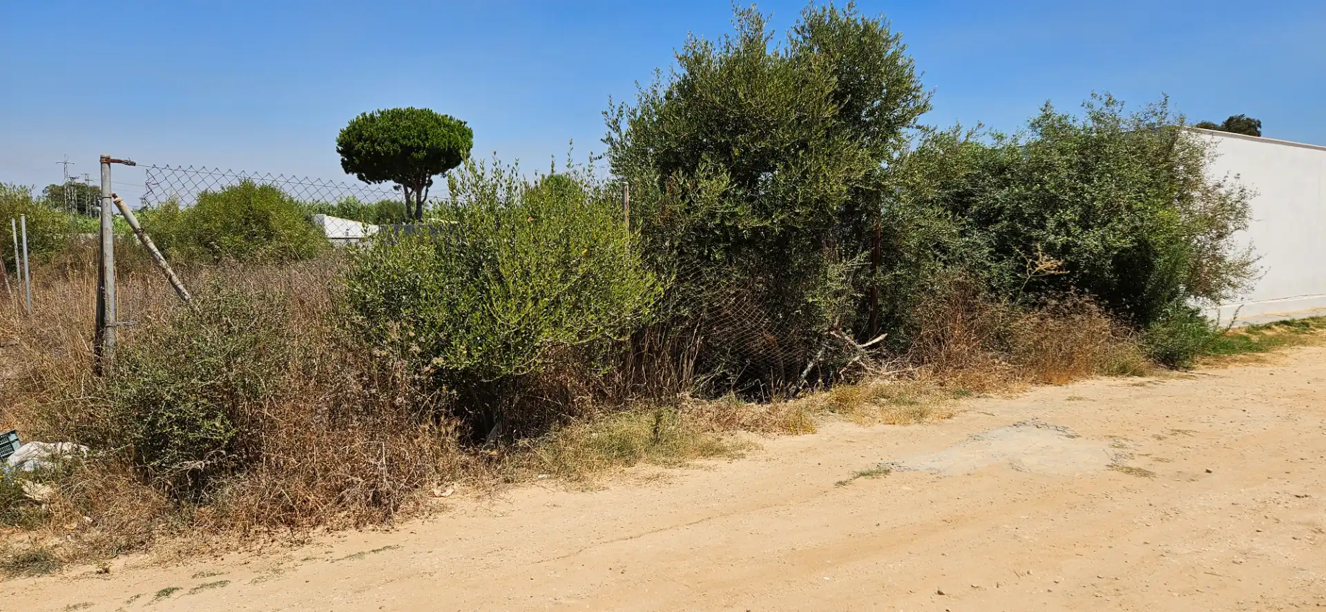 Terreny en venda en Chiclana de la Frontera