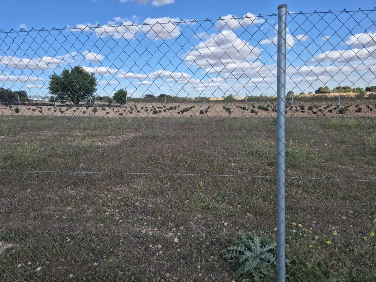 Rustikales Grundstück zum Verkauf in Ctra. Las Mesas, imagen 6