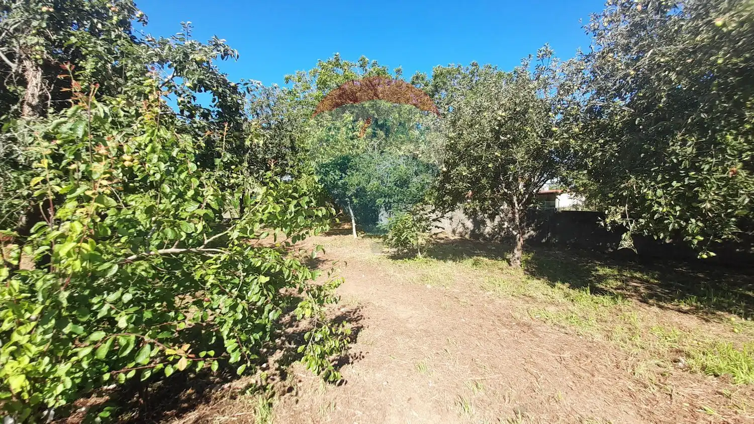 Rural land for sale in Aldea Seixeda 0, imagen 11