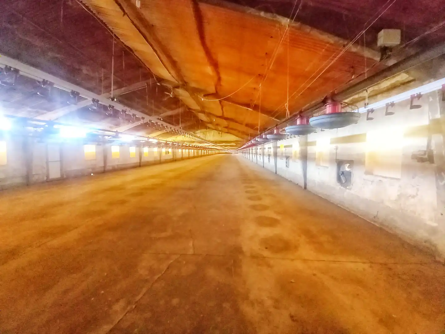 Industrial buildings for sale in Calle San Roque, 3, Bahabón de Esgueva