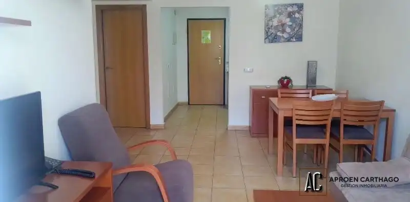 Àtic amb terrassa en venda a Los Collados-Los Geraneos, imagen 5