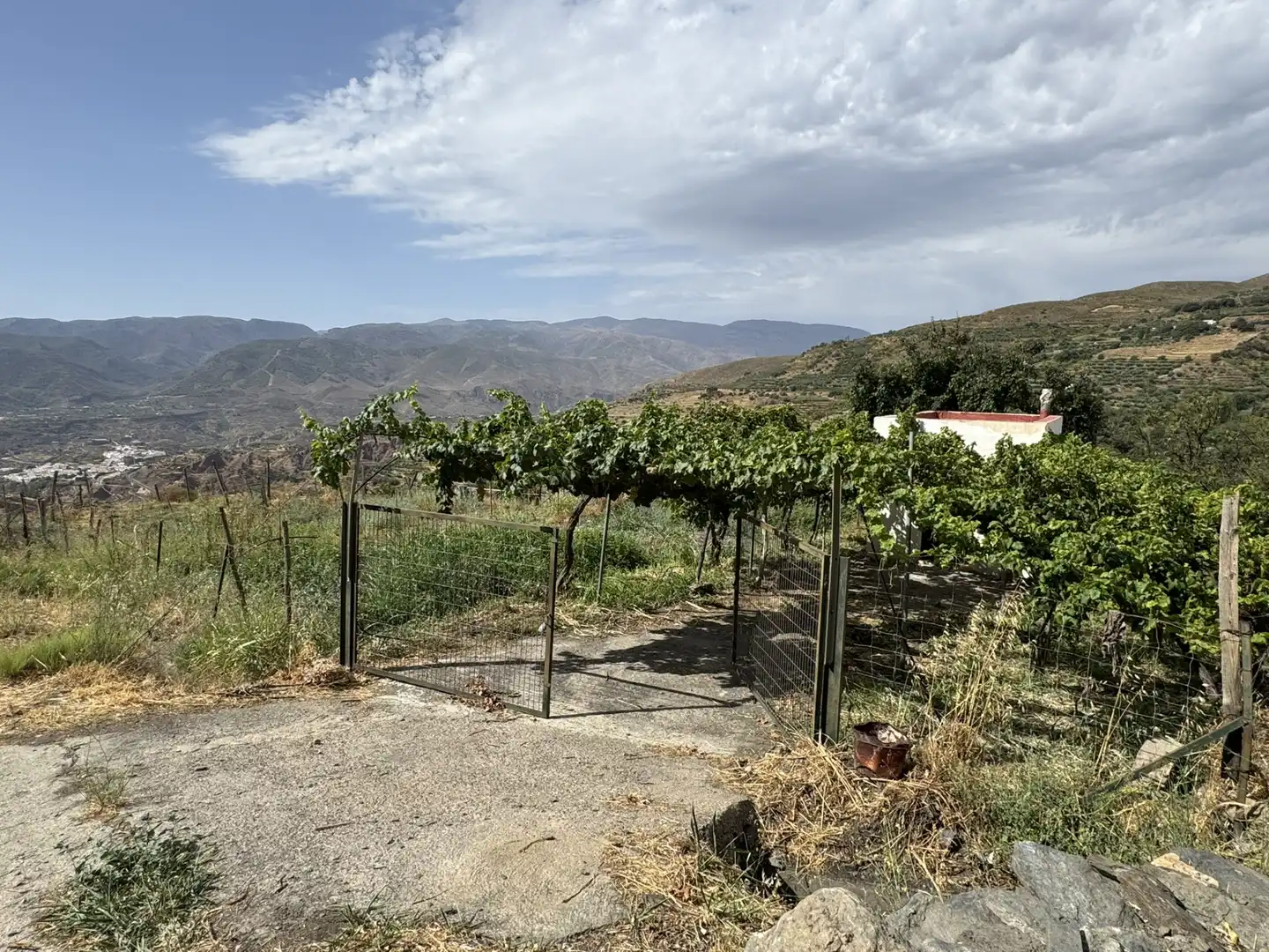 Vista exterior de Terreny en venda en Ohanes