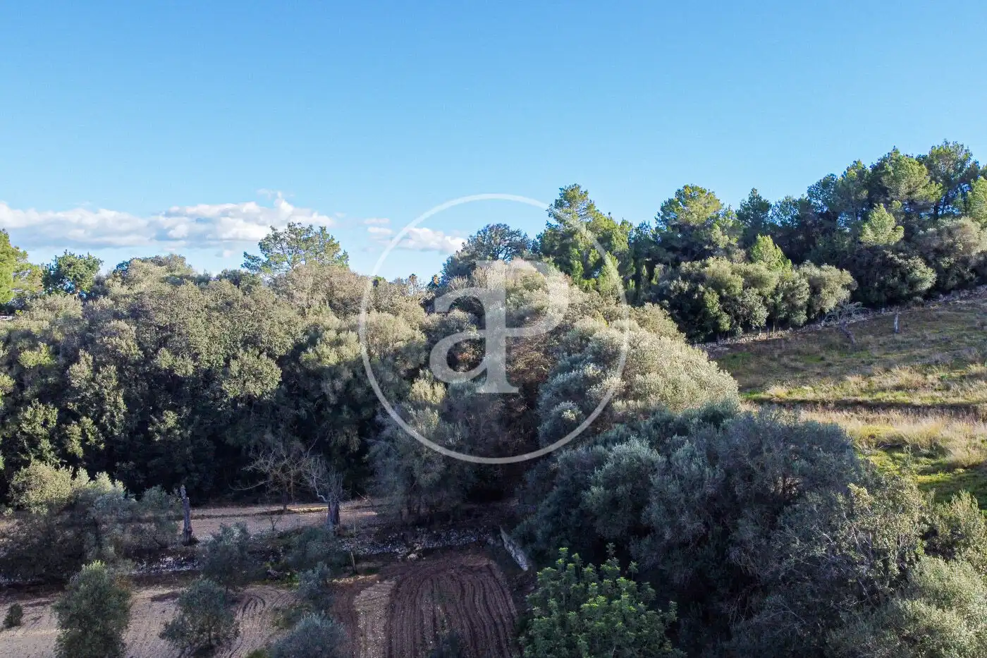 Residencial en venta en Santa Margalida