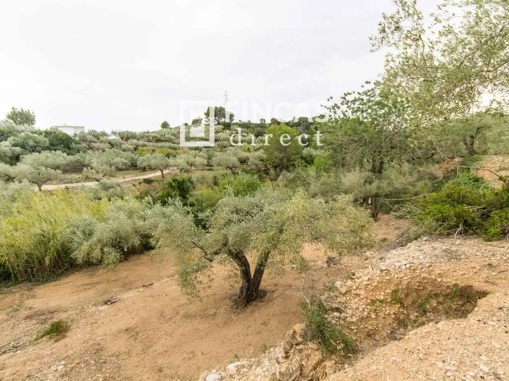 Finca rústica en venda en Tortosa amb Moblat